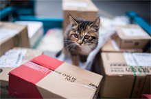 武汉银行汽车抵押贷款平安银行优势解读